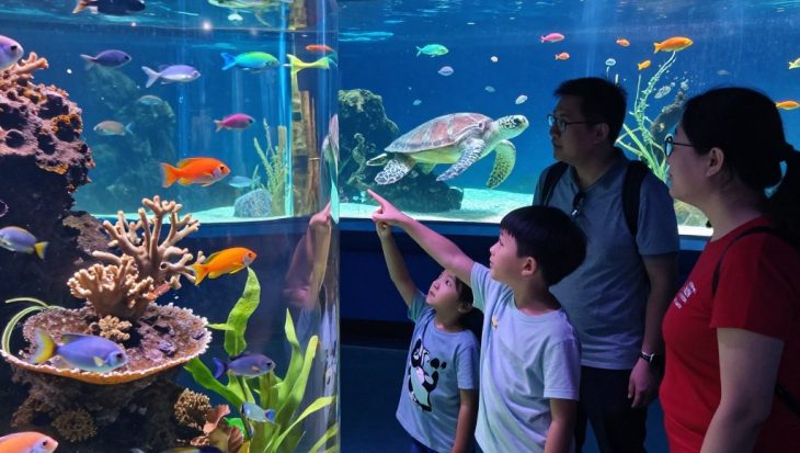 aquariums in NJ